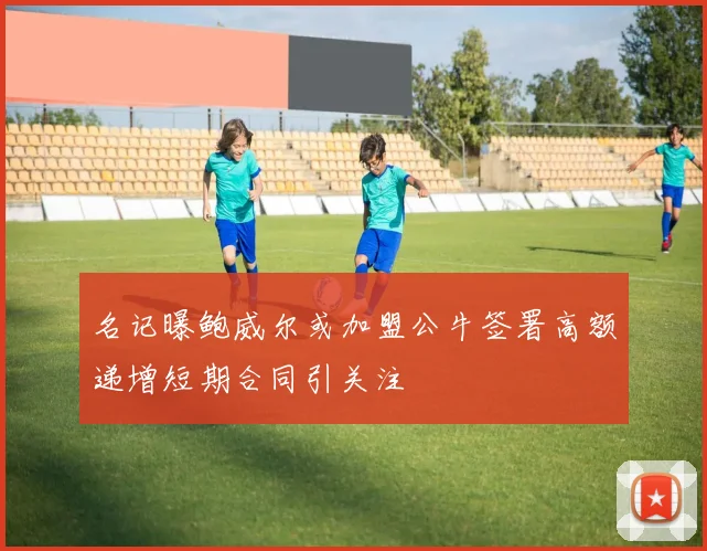 名记曝鲍威尔或加盟公牛签署高额递增短期合同引关注