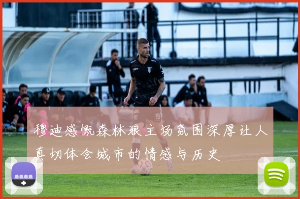 穆迪感慨森林狼主场氛围深厚让人真切体会城市的情感与历史