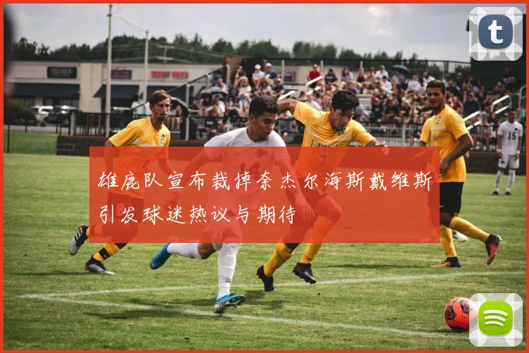 雄鹿队宣布裁掉奈杰尔海斯戴维斯引发球迷热议与期待